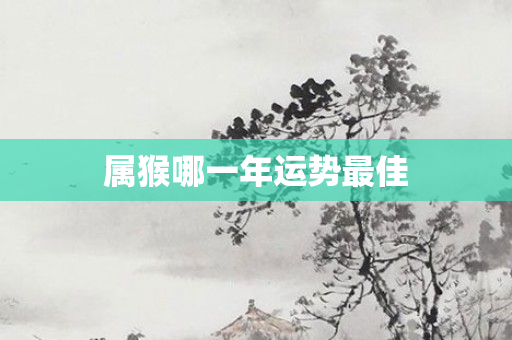 属猴哪一年运势更佳
