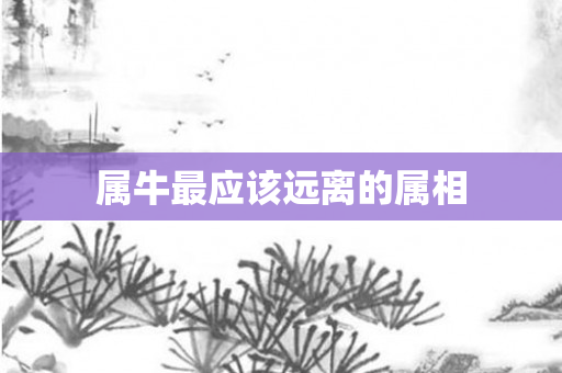 属牛最应该远离的属相