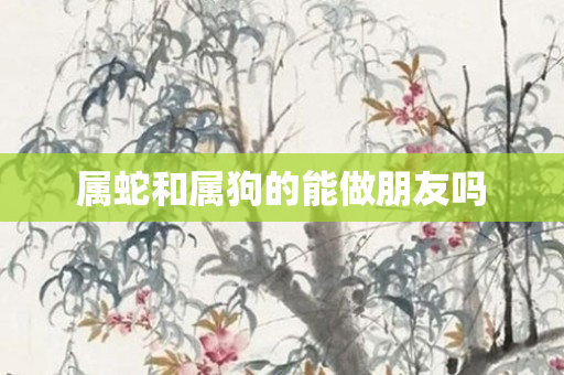 属蛇和属狗的能做朋友吗