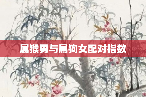 属猴男与属狗女配对指数