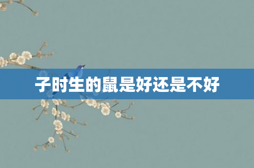 子时生的鼠是好还是不好