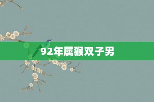 92年属猴双子男