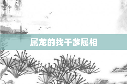 属龙的找干爹属相