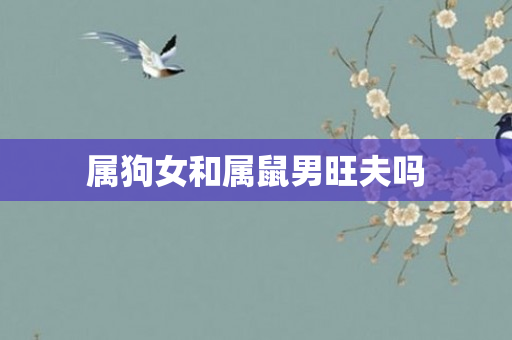 属狗女和属鼠男旺夫吗