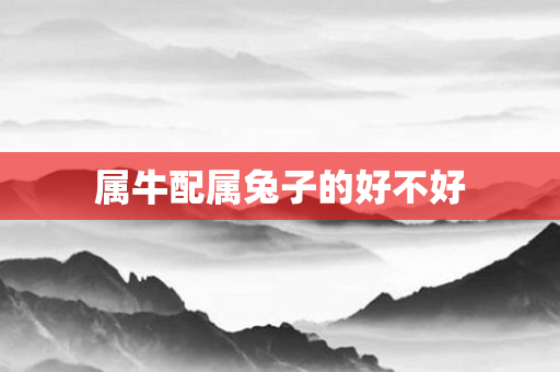 属牛配属兔子的好不好