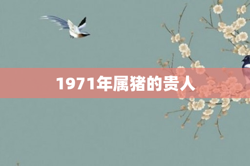 1971年属猪的贵人