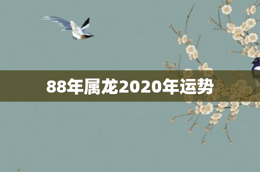 88年属龙2020年运势