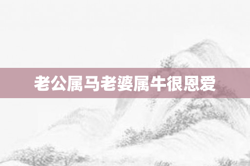 老公属马老婆属牛很恩爱