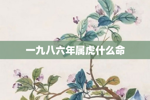 一九八六年属虎什么命