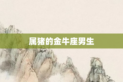 属猪的金牛座男生