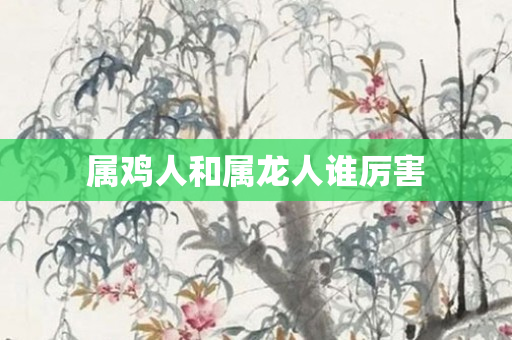 属鸡人和属龙人谁厉害