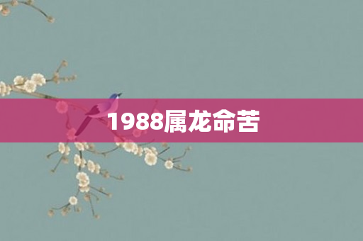 1988属龙命苦