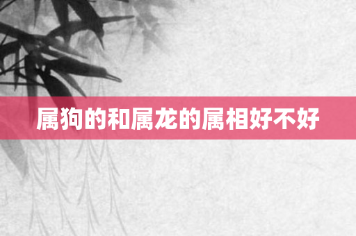属狗的和属龙的属相好不好