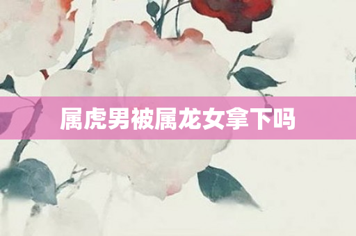 属虎男被属龙女拿下吗