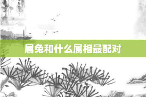 属兔和什么属相最配对