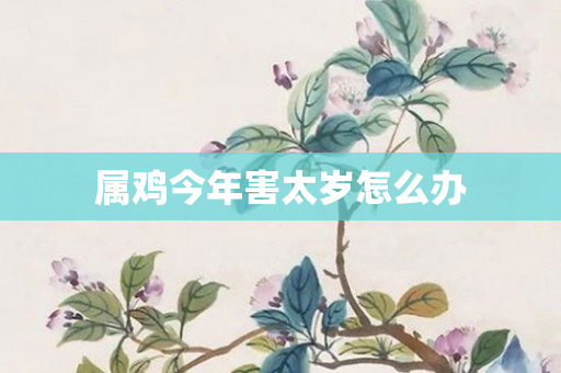 属鸡今年害太岁怎么办