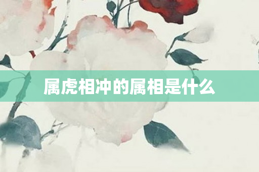 属虎相冲的属相是什么