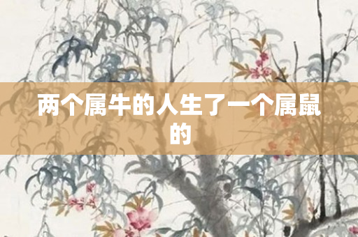 两个属牛的人生了一个属鼠的