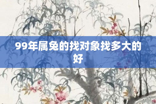 99年属兔的找对象找多大的好