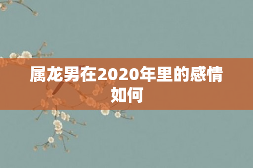 属龙男在2020年里的感情如何