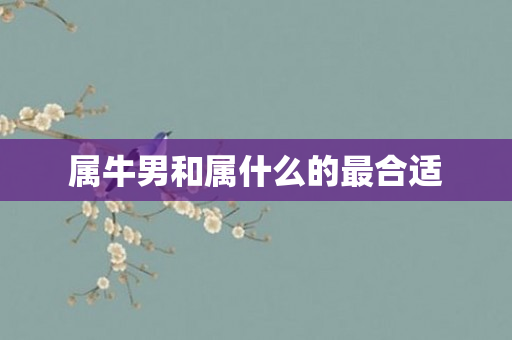 属牛男和属什么的最合适