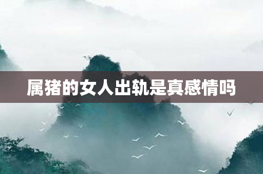 属猪的女人出轨是真感情吗