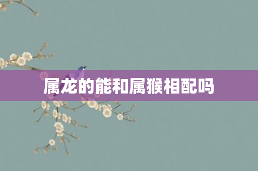 属龙的能和属猴相配吗