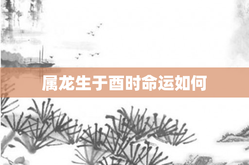 属龙生于酉时命运如何