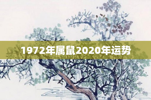 1972年属鼠2020年运势
