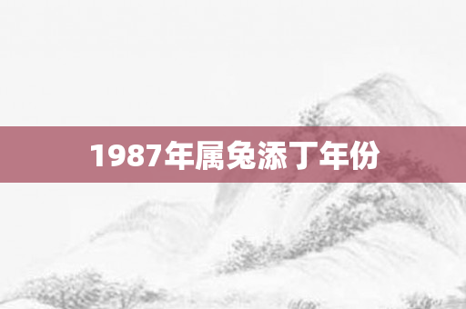 1987年属兔添丁年份