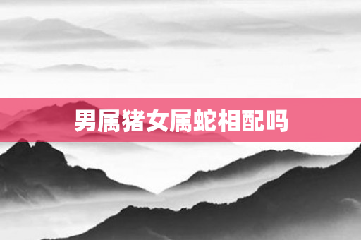 男属猪女属蛇相配吗