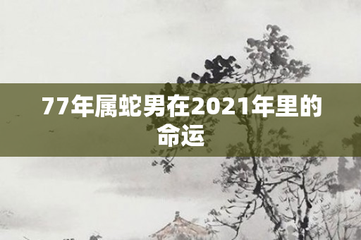 77年属蛇男在2021年里的命运