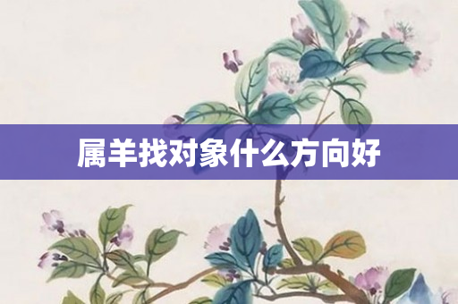 属羊找对象什么方向好