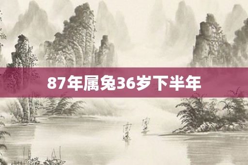 87年属兔36岁下半年