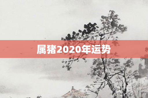 属猪2020年运势