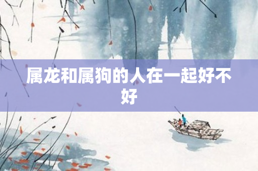 属龙和属狗的人在一起好不好