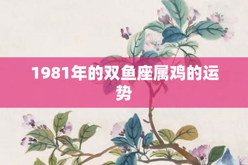 1981年的双鱼座属鸡的运势