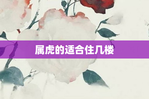属虎的适合住几楼