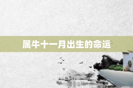 属牛十一月出生的命运