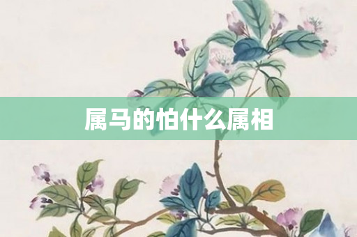 属马的怕什么属相