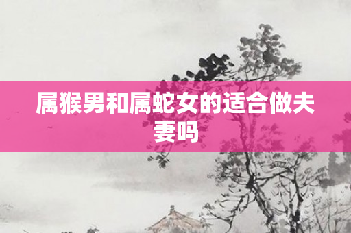 属猴男和属蛇女的适合做夫妻吗
