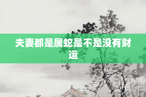 夫妻都是属蛇是不是没有财运
