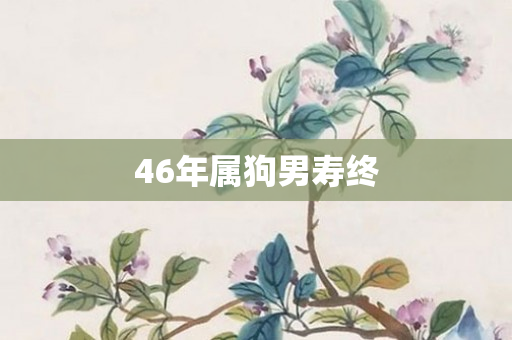 46年属狗男寿终