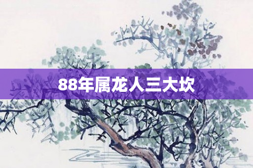 88年属龙人三大坎