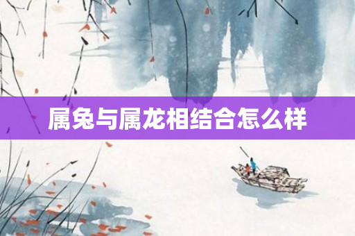 属兔与属龙相结合怎么样