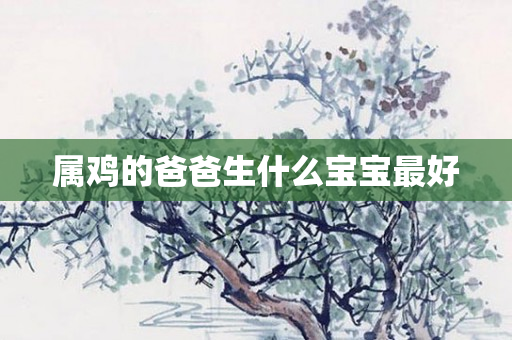 属鸡的爸爸生什么宝宝更好