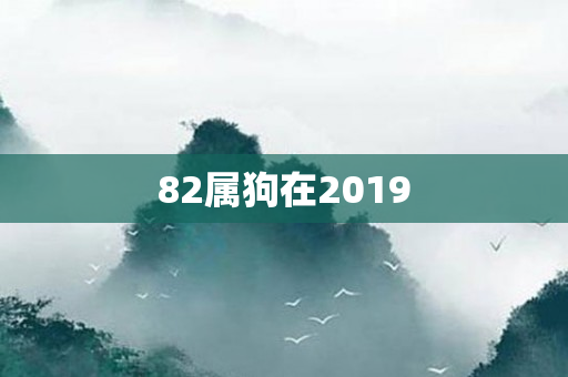 82属狗在2019