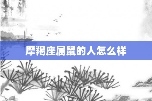 摩羯座属鼠的人怎么样