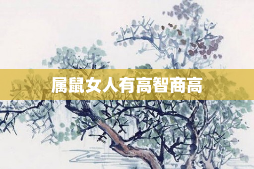 属鼠女人有高智商高
