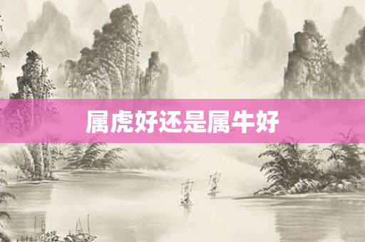 属虎好还是属牛好